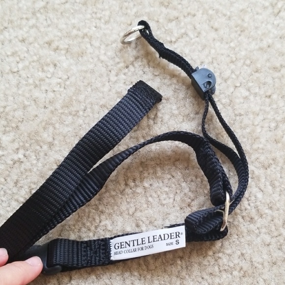 Gentle leash - Picture 2 of 4